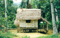 Nipa Hut Drawing http://www.build-it-yourself.com/john/johng